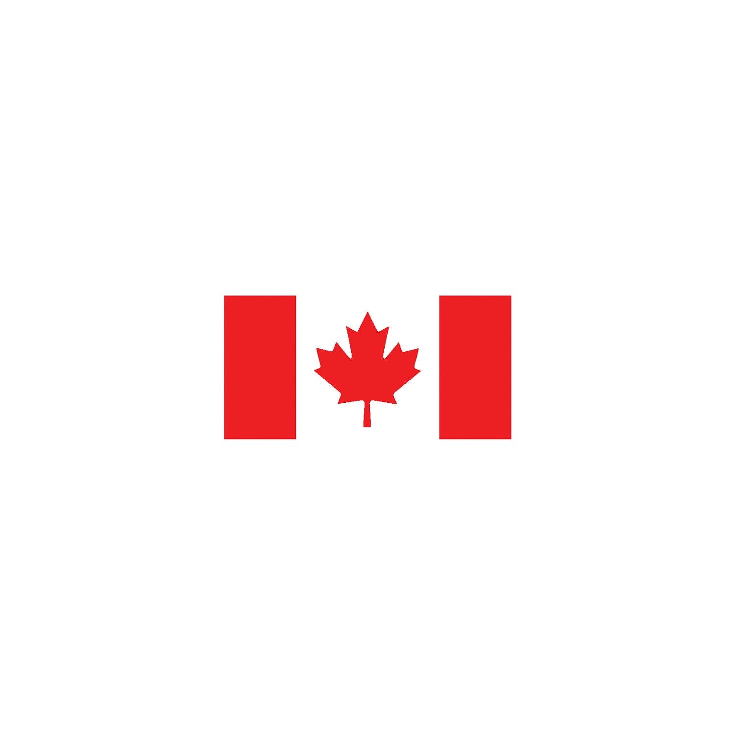 Flying Colours International Flying Colours Nylon Canadian Flag, 12" x 24" 133-34002412T
