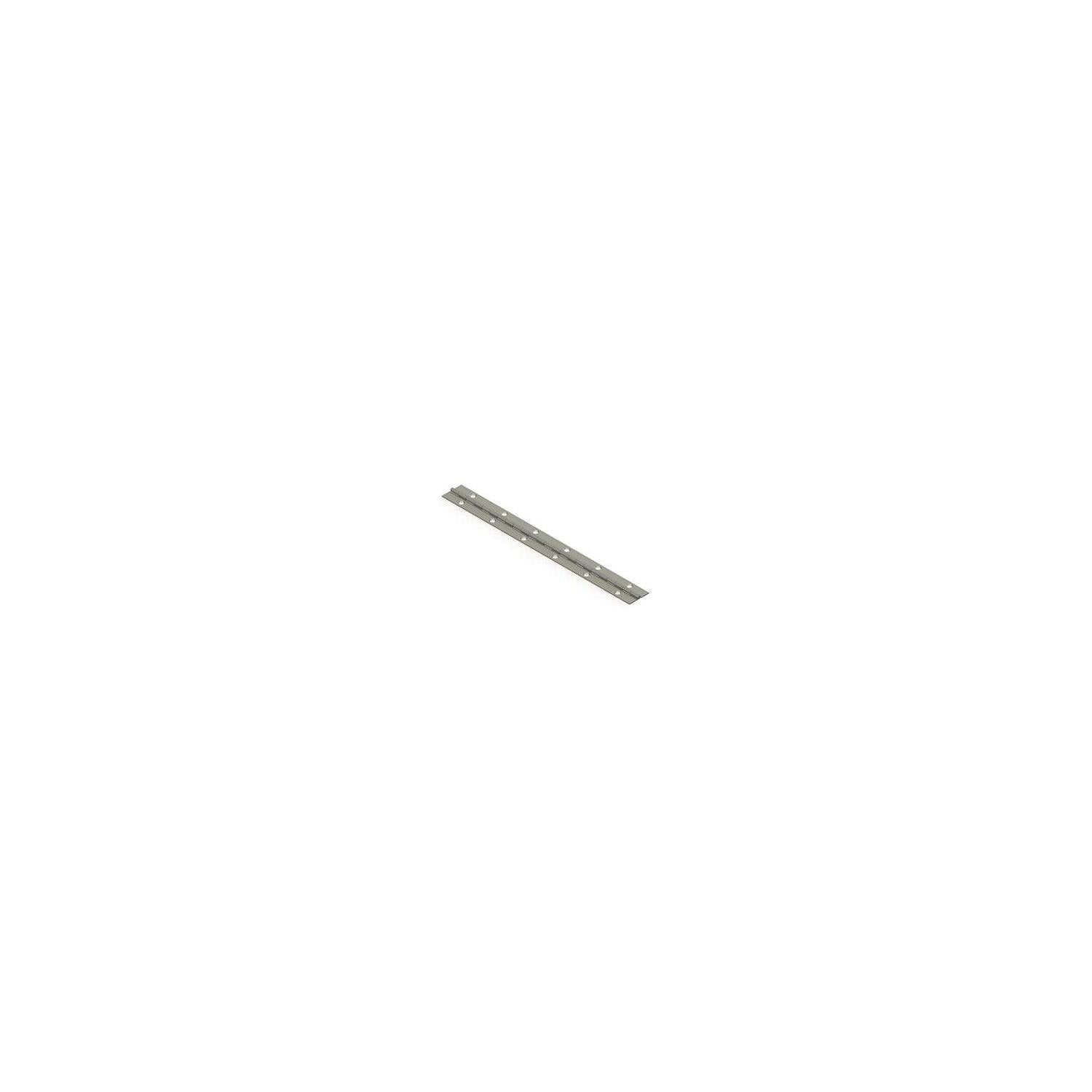 Larsen & Shaw 2PH Continuous Stainless Steel Piano Hinge, 2" x 6' 743-2PH